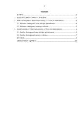 Paklausos ir pasiūlos elastingumo kainų atžvilgiu veiksniai 2 puslapis