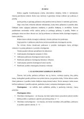 Paklausos ir pasiūlos elastingumo kainų atžvilgiu veiksniai 3 puslapis