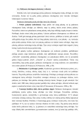 Paklausos ir pasiūlos elastingumo kainų atžvilgiu veiksniai 5 puslapis