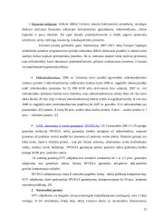 Palankios aplinkos smulkiam ir vidutiniam verslui sudarymo modelis 12 puslapis