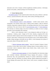 Palankios aplinkos smulkiam ir vidutiniam verslui sudarymo modelis 13 puslapis