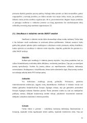 Palankios aplinkos smulkiam ir vidutiniam verslui sudarymo modelis 15 puslapis