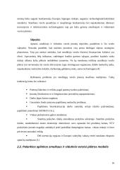 Palankios aplinkos smulkiam ir vidutiniam verslui sudarymo modelis 16 puslapis