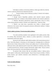 Palankios aplinkos smulkiam ir vidutiniam verslui sudarymo modelis 18 puslapis