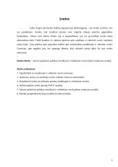 Palankios aplinkos smulkiam ir vidutiniam verslui sudarymo modelis 3 puslapis