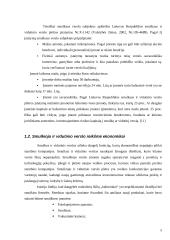 Palankios aplinkos smulkiam ir vidutiniam verslui sudarymo modelis 5 puslapis