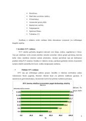 Palankios aplinkos smulkiam ir vidutiniam verslui sudarymo modelis 6 puslapis