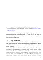 Palankios aplinkos smulkiam ir vidutiniam verslui sudarymo modelis 7 puslapis