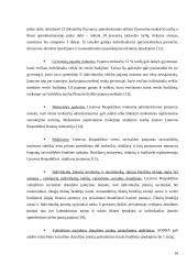 Palankios aplinkos smulkiam ir vidutiniam verslui sudarymo modelis 10 puslapis