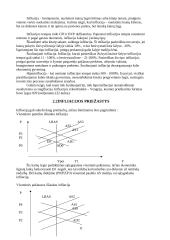 Palūkanų norma. Infliacija 11 puslapis