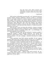 Pareto dėsnis (80/20 principas) 2 puslapis