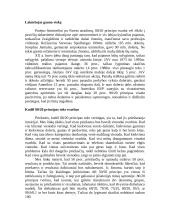 Pareto dėsnis (80/20 principas) 6 puslapis