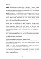 Parketo klojimas 11 puslapis