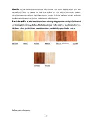 Parketo klojimas 12 puslapis