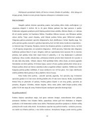 Parketo klojimas 13 puslapis