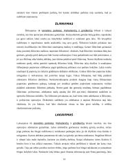 Parketo klojimas 14 puslapis