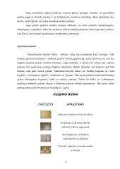 Parketo klojimas 5 puslapis