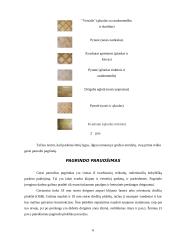 Parketo klojimas 6 puslapis