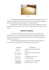 Parketo klojimas 7 puslapis