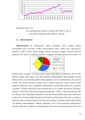 Pasaulinė išteklių taupymo patirtis 12 puslapis