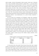 Pasaulinė išteklių taupymo patirtis 13 puslapis