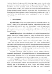 Pasaulinė išteklių taupymo patirtis 14 puslapis