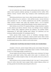 Pasaulinė išteklių taupymo patirtis 6 puslapis