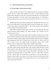 Pasaulinė išteklių taupymo patirtis 7 puslapis