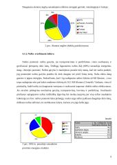 Pasaulinė išteklių taupymo patirtis 8 puslapis