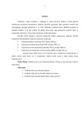 Pasaulinis bankas bei jo vieta ir įtaka Lietuvos ekonomikai 4 puslapis