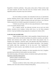 Pasiruošimas pokalbiui su darbdaviu 7 puslapis
