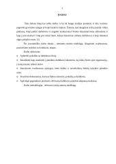 Pasiruošimas susitikti su darbdaviu 3 puslapis