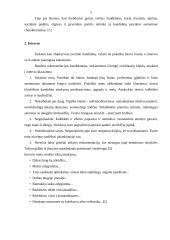 Pasiruošimas susitikti su darbdaviu 5 puslapis