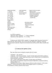 Pasiūlymai įmonės veiklos tobulinimui: keleivių vežimas AB "Autrolis" 3 puslapis