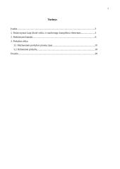 Paskirstymas kaip marketingo komplekso elementas 2 puslapis