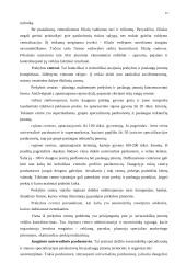 Paskirstymas kaip marketingo komplekso elementas 15 puslapis