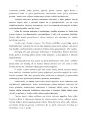 Paskirstymas kaip marketingo komplekso elementas 17 puslapis