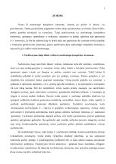 Paskirstymas kaip marketingo komplekso elementas 3 puslapis