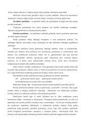 Paskirstymas kaip marketingo komplekso elementas 7 puslapis