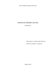 Paskolos užsienio valiuta