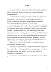 Paskolos užsienio valiuta 3 puslapis