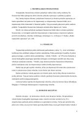 Paskolos užsienio valiuta 4 puslapis