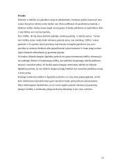 Paskolos, indėliai ir palūkanos Lietuvoje 14 puslapis