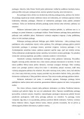 Paslaugų kainodara 11 puslapis