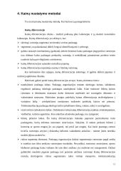 Paslaugų kainodara 13 puslapis