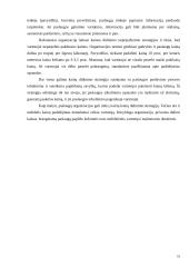 Paslaugų kainodara 18 puslapis