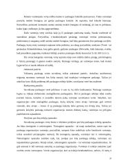 Paslaugų kainodara 20 puslapis