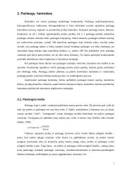 Paslaugų kainodara 5 puslapis