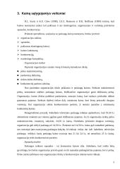 Paslaugų kainodara 8 puslapis