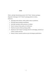 Paslaugų pardavimo schema: UAB "Telnet" kompanijos "Omnitel" paslaugų pardavimo technologija 2 puslapis